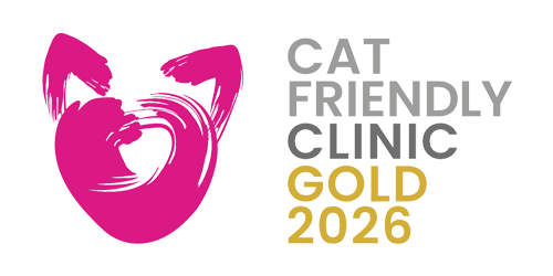 A Vetvisão é uma <strong>Clínica Cat Friendly – Gold</strong>, certificada pela <strong>International Society of Feline Medicine</strong>